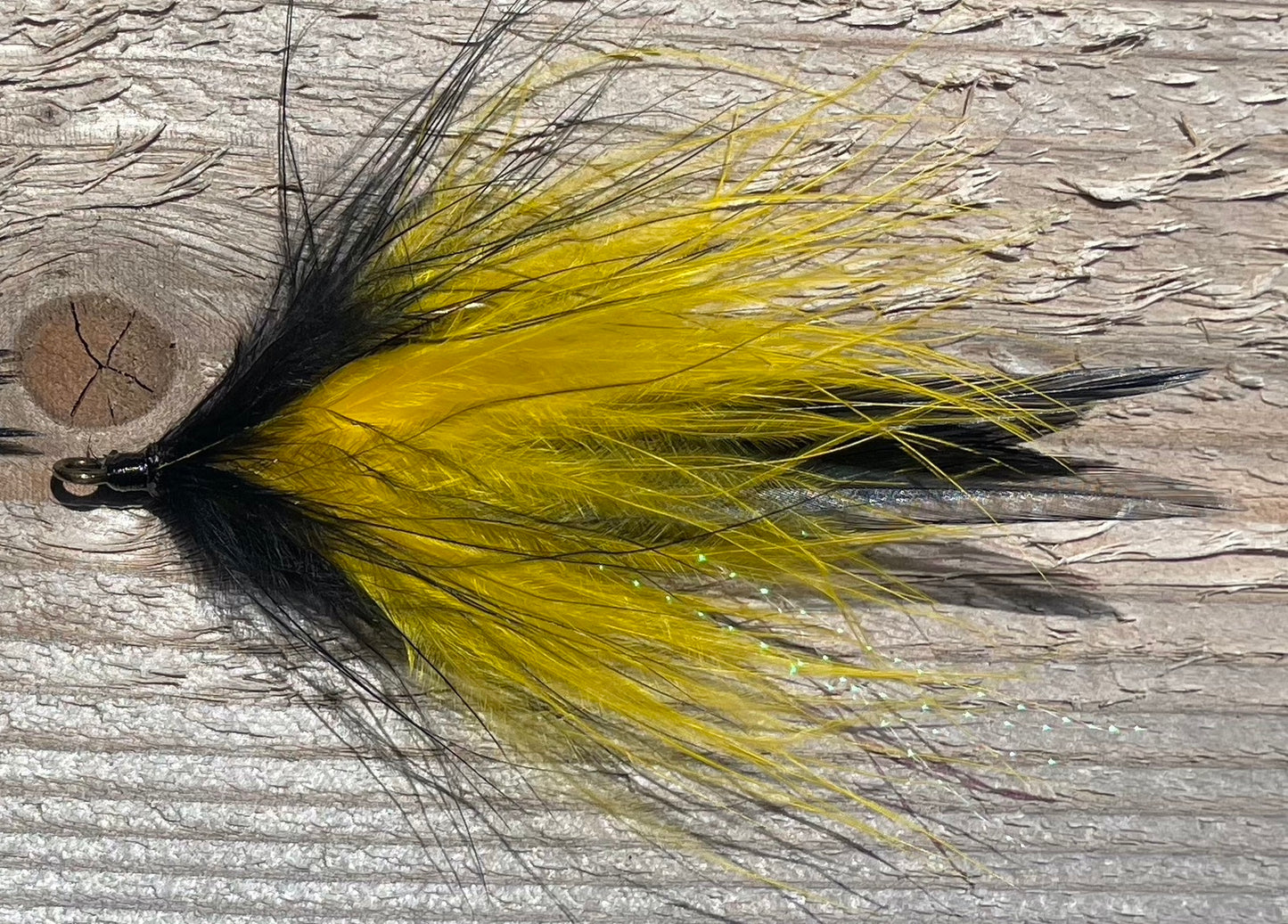 Feathered Tail